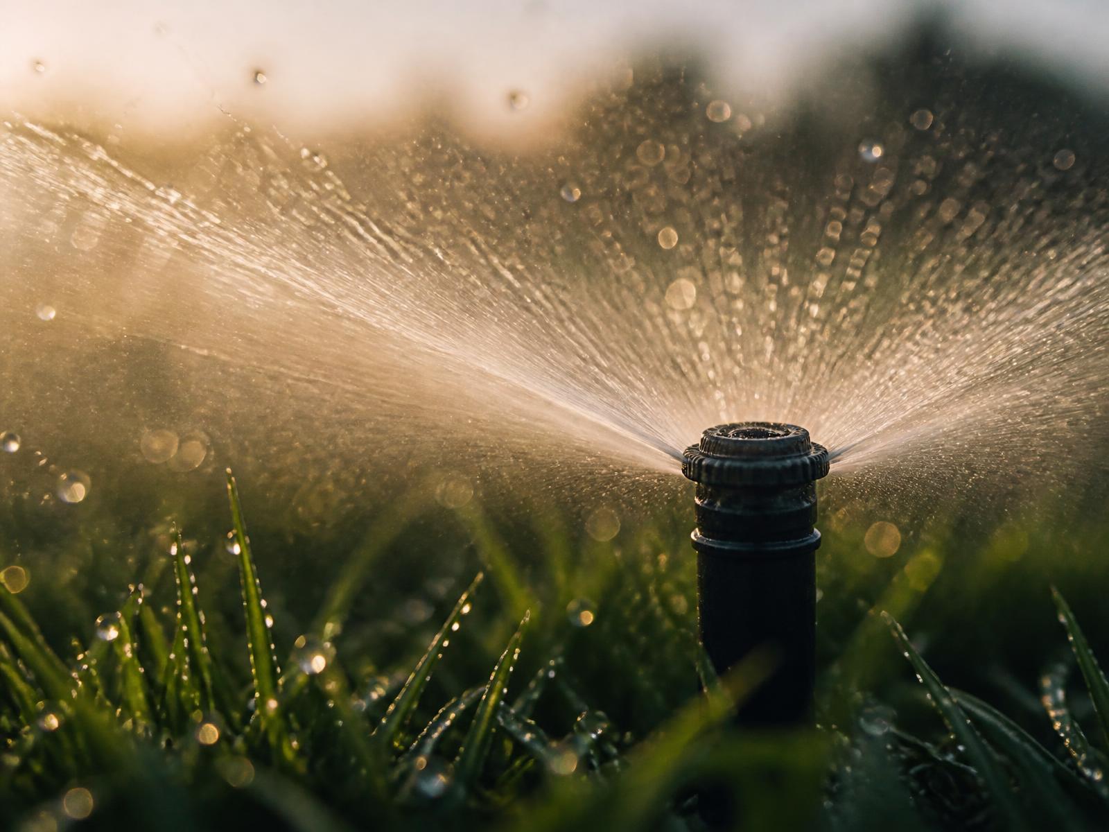 Irrigatore automatico in funzione su un prato all'alba